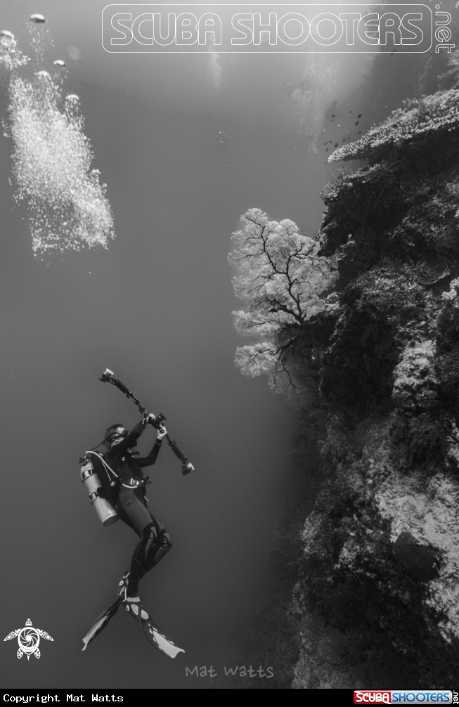 A Underwater Photographer