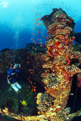 A Annan Wreck