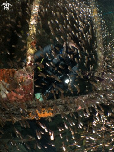 A Diver and Glass Fish