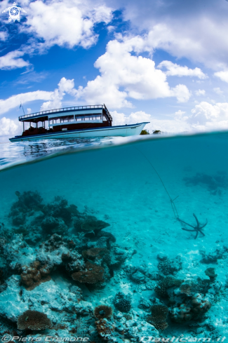 A Maldives scenery