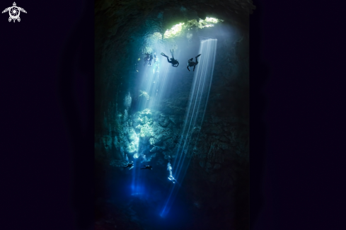 A cenotes