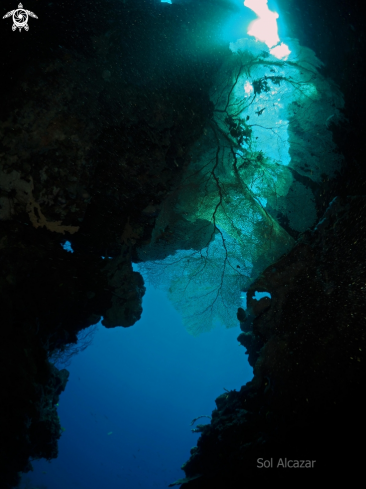 A cave at Menjangan Island