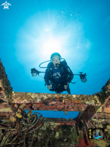 A Profile of a diver