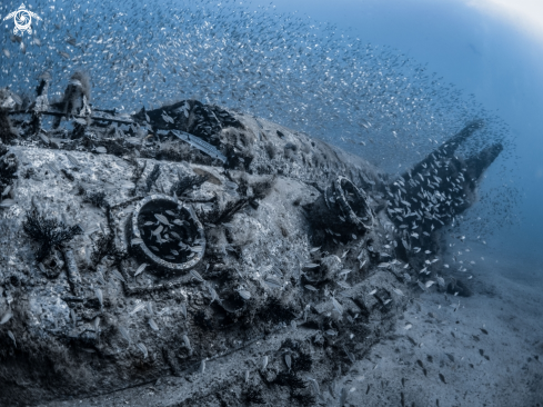A Wreck of U352
