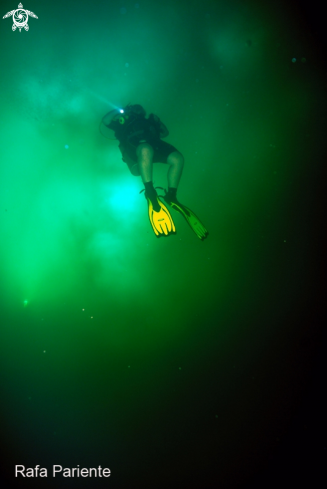 A Cenote | Cenote Angelta