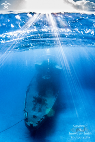 A USS Kittiwake