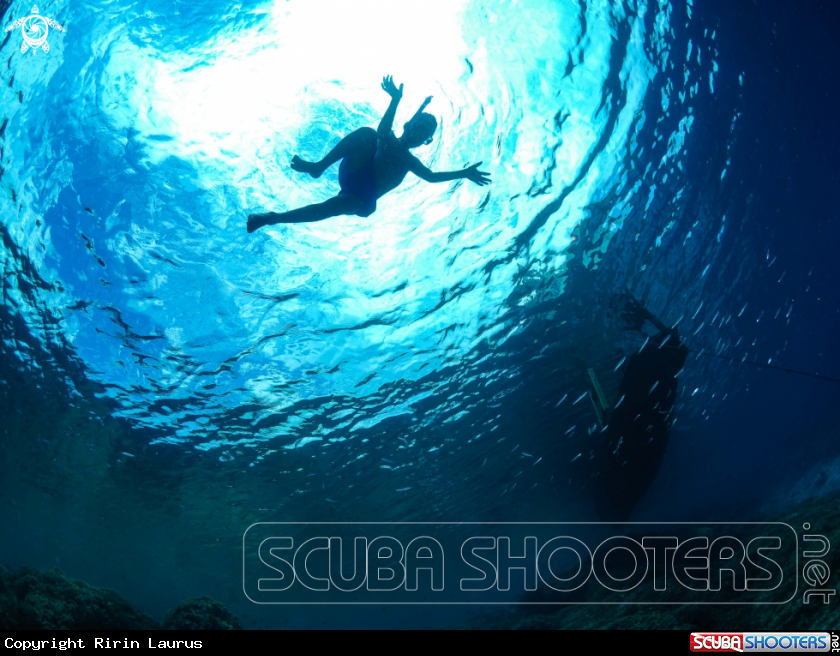 A Underwater Dancer