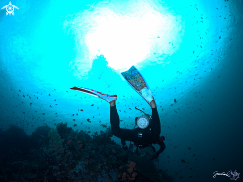 A DIver's Fin