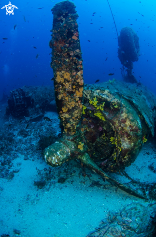 A b-24