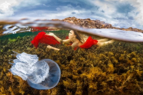 A Split composition with human and jellyfish