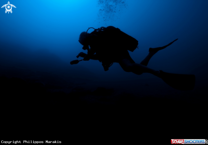 A Diver 