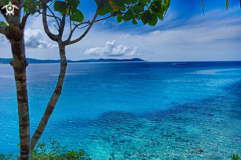 A Coastline Capepaperu | Housereef