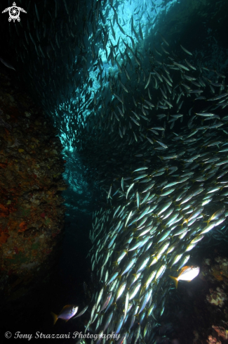 A Looking Glass Cave