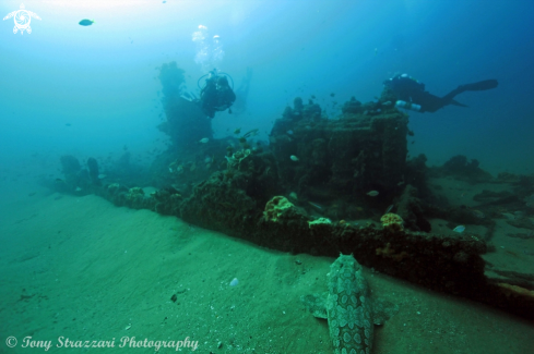 A SS Bonnie Dundee