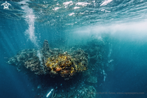 A Rock  | Divers on a rock