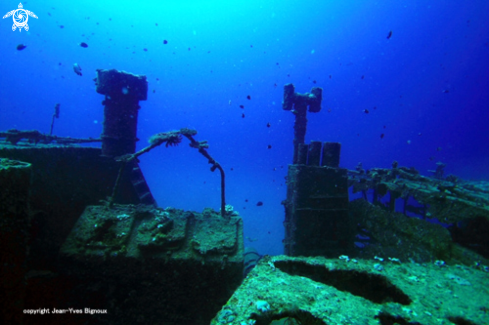 A Azuma Maru,Balaclava,Mauritius