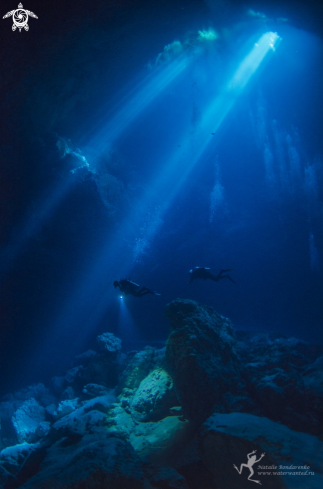 A Cenote Pit