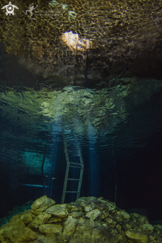 A Cenote Dream Gate