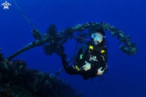 A Carnatic shipwreck