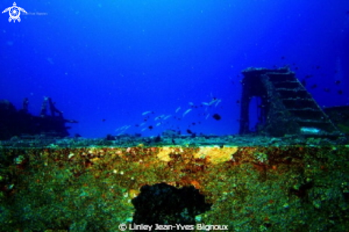 A Azuma Maru,Balaclava,Mauritius