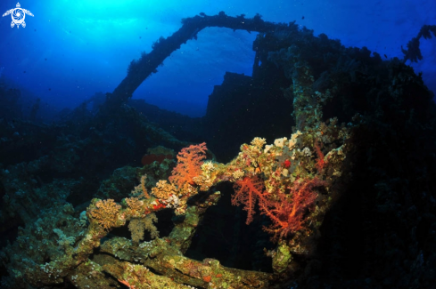 A Carnatic shipwreck