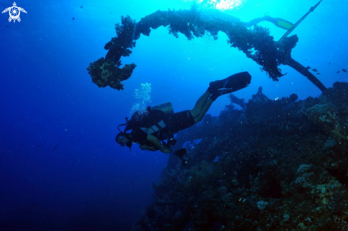 A Carnatic shipwreck