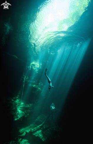 A Cenote