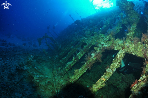 A Carnatic shipwreck