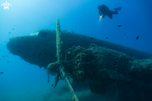 A Flugzeugwrack