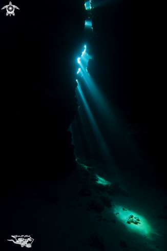 A Red Sea cave