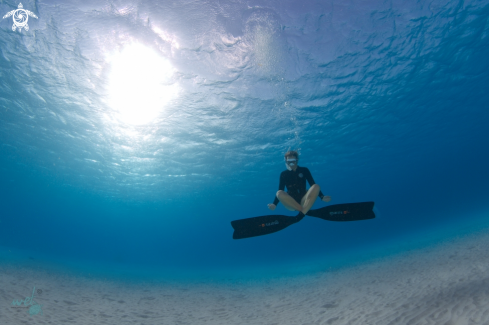 A Freddivers favorite place for Yoga, underwater beach