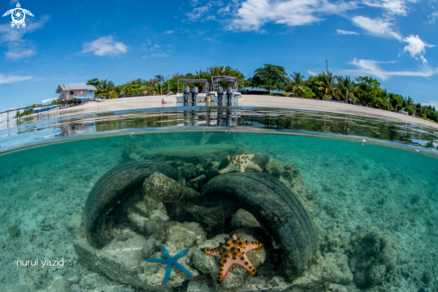 A Split Shot of CBR Beach, Pom Pom Island