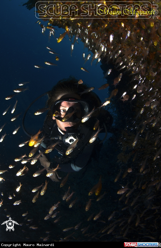 A Woman and glassfish
