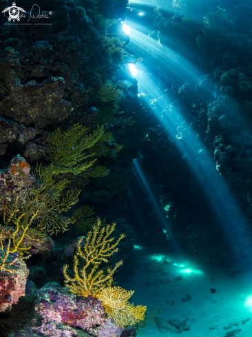 A Cascata di luce