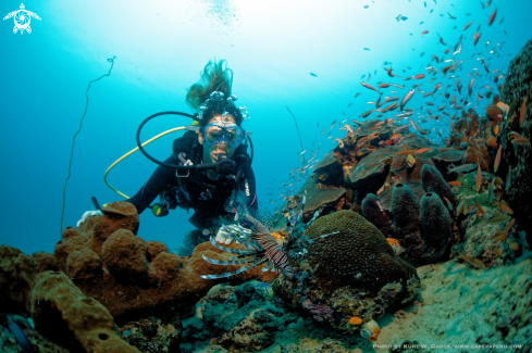 A Lionfish with Diver