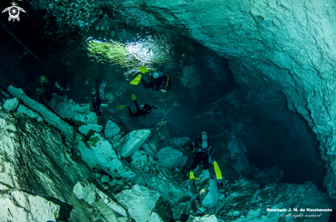 A Cenotes