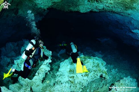 A chikin ha | cenotes