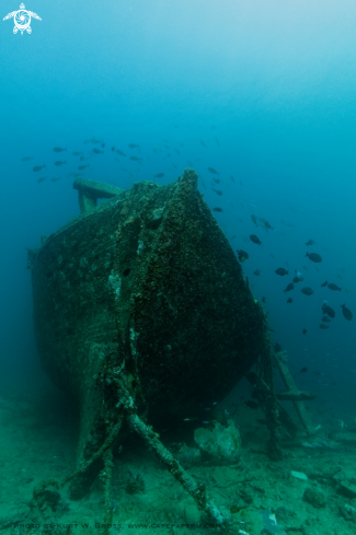 A old sailing transporter from indonesia | Wreck Pinisih