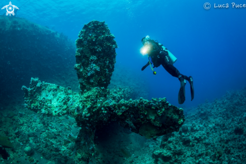 A Umbria Wreck