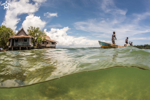 A Fishermen in the Solomon Islands