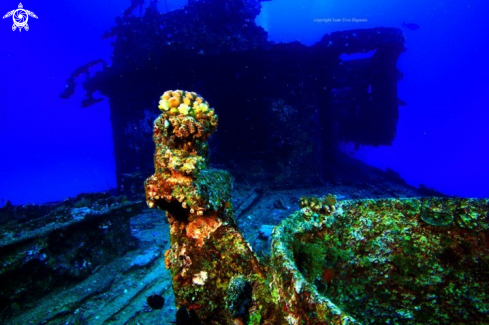 A Emily Shiwreck Mauritius