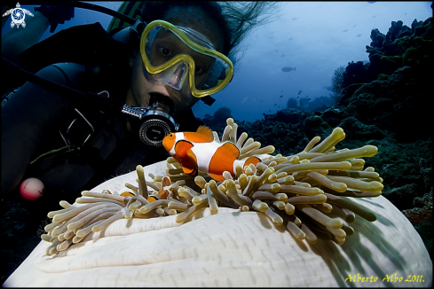 A underwater creature