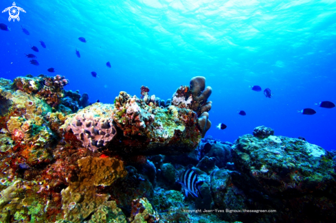 A  10 metres /Grand Bay ,Mauritius 