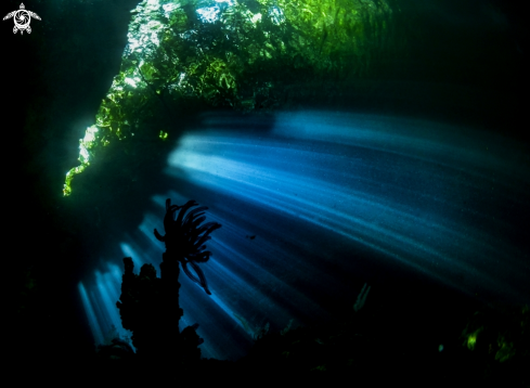 A Green cave