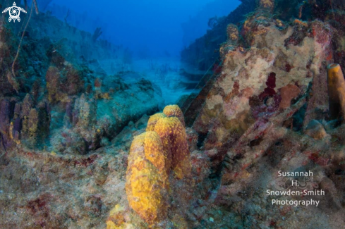 A Double Exposure Shipwreck