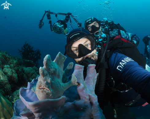 A Giant Frogfish