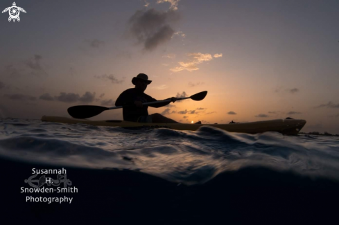 A Sunset Split Shot