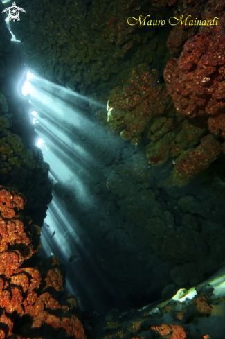 A Jackfish alley caves(Ras Mohammed)