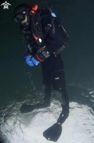 A diver