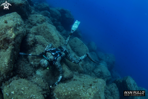 A freediver